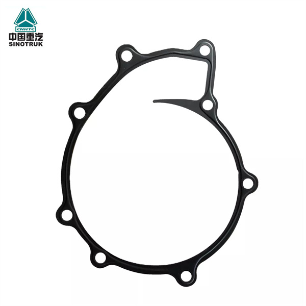 Sinotruk HOHAN HOWO T5G MAN MC07 engine spare parts 080V06901-0196 water pump sealing gasket