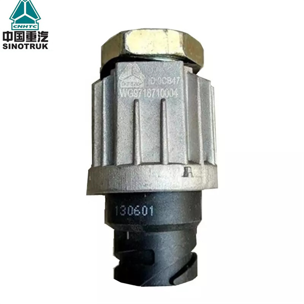 Howo Truck parts cabin Brake light switch WG9718710004