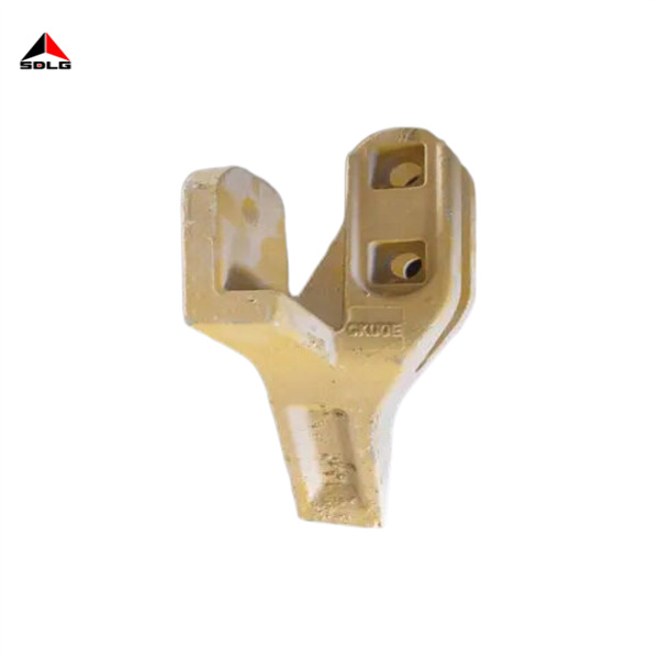 right tooth 29170039961
