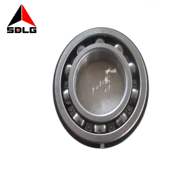 6210N Bearing 4021000019