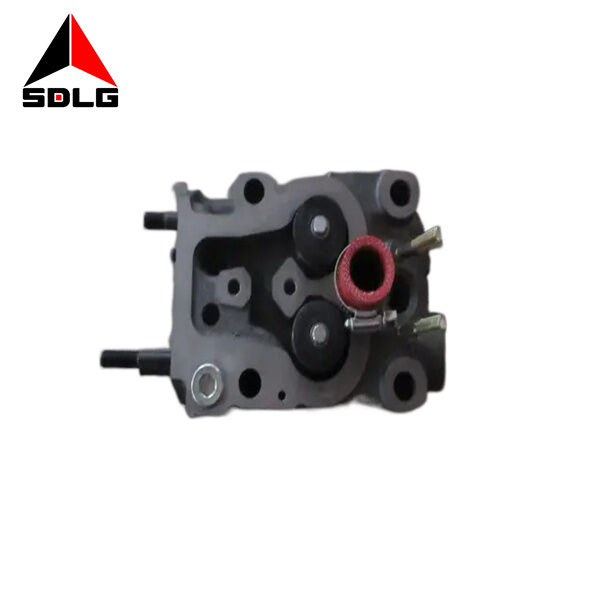 Cylinder head sub-assembly (with hose bolts) 13021396
