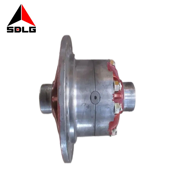 differential 250300331
