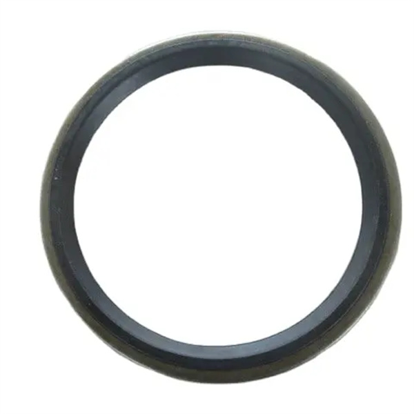 4043000057 SEALING RING